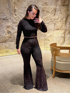 Long Sleeved Crop Top