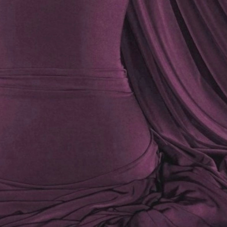 Plum Premium Jersey