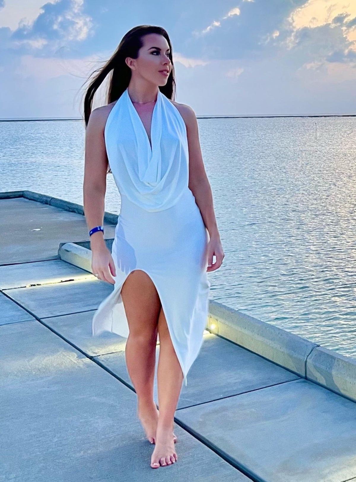 Backless Cowlsneck Dress